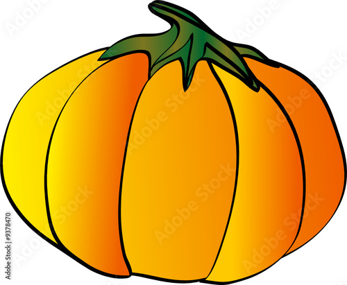Zucca