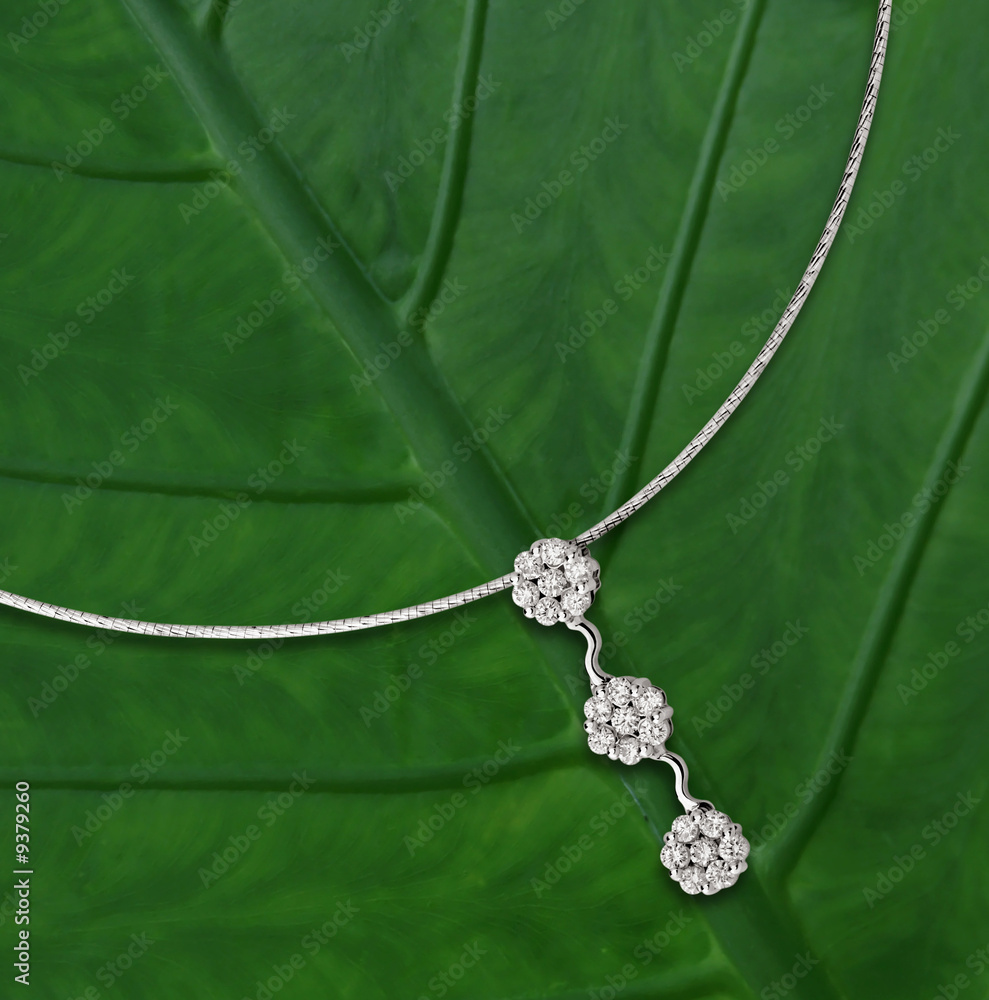 Fototapeta premium Necklace