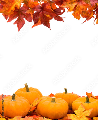 Fall leaves with pumpkin on white background