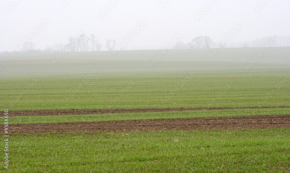 Obraz premium Foggy agricultural field in the countryside