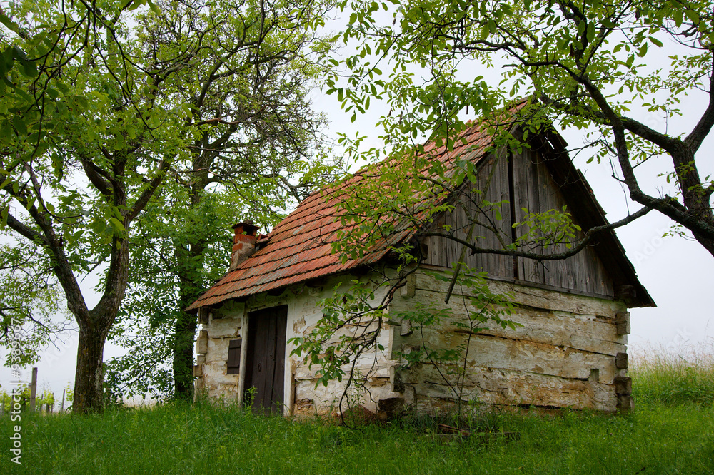Small, old hut near the forest Small, old hut near the forest