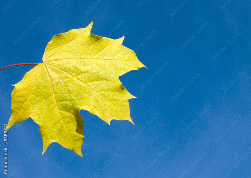 automne8 automne8