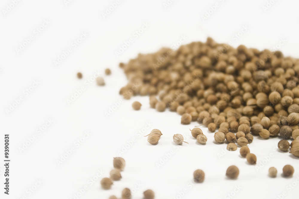 Coriander seeds isolated on white Coriander seeds isolated on white