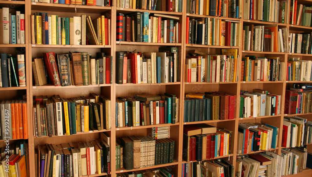 Großes Bücherregal Großes Bücherregal