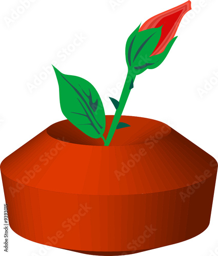 Blume Vase Rosa