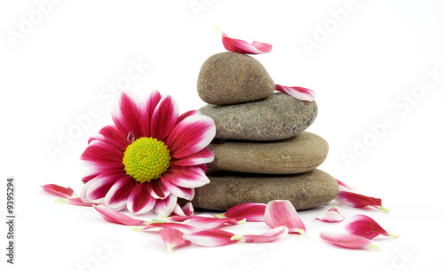 Canvas Print zen spa stones with flowers