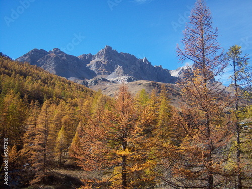 paysage Alpin en automne