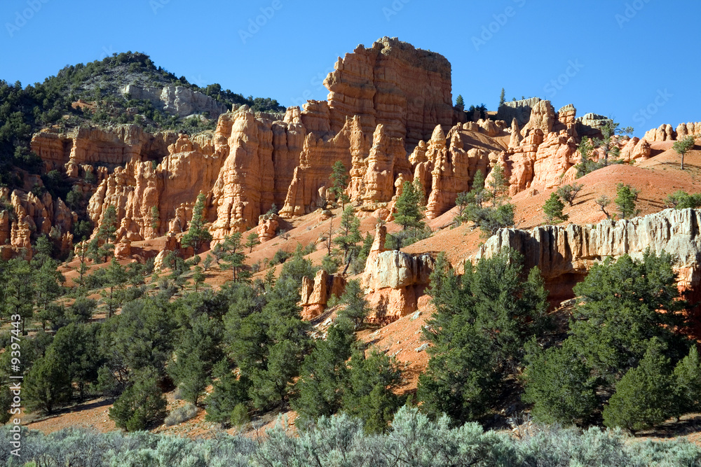 Die Felslandschaft des Red Canyon