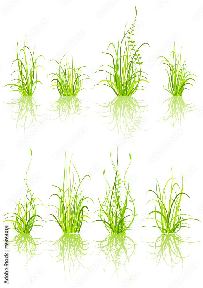 Naklejka premium set of grass