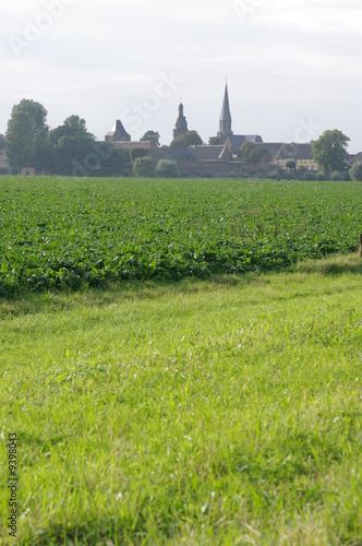 Skyline Feste Zons