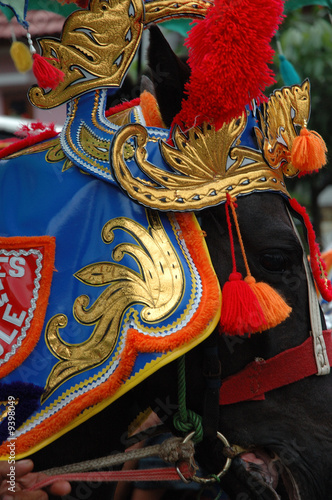renggong horse