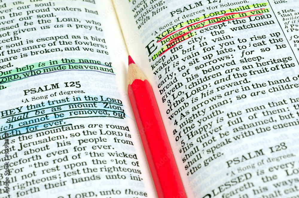 Obraz premium Bible study