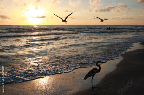 Florida sunset