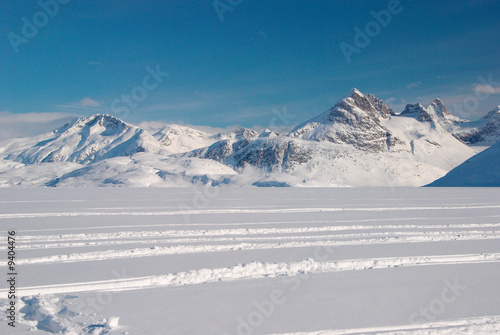 Landscape of Greenland with mountains and glacier