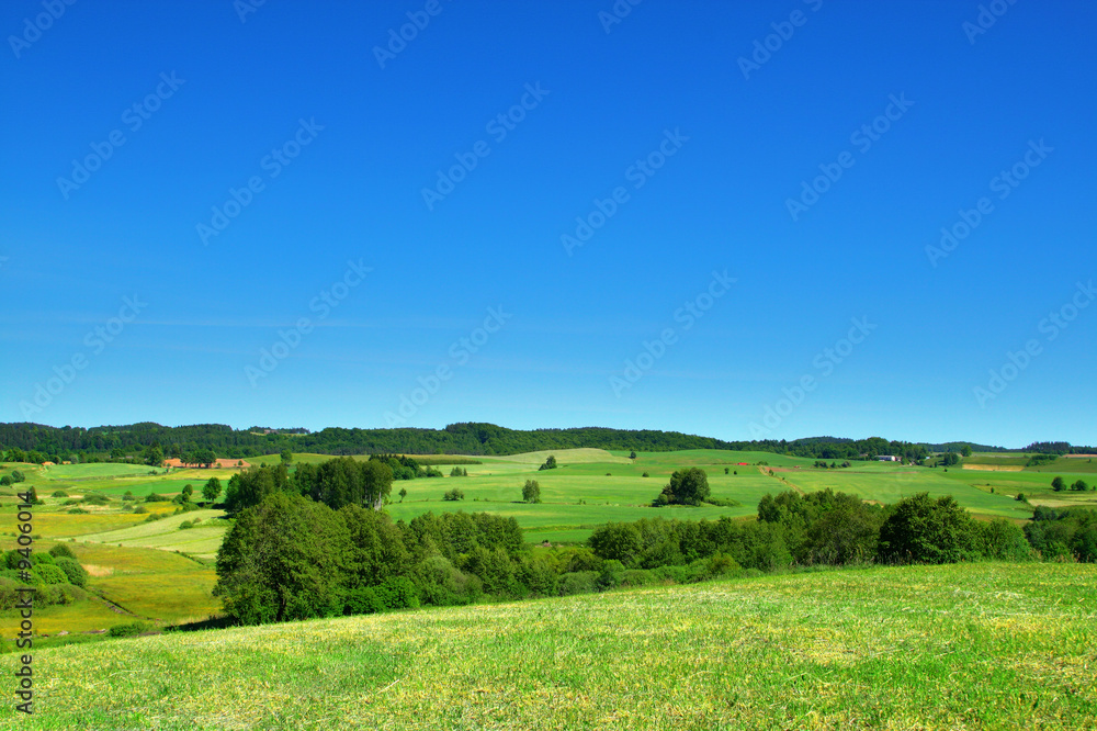 summer landscape with cloudless sky