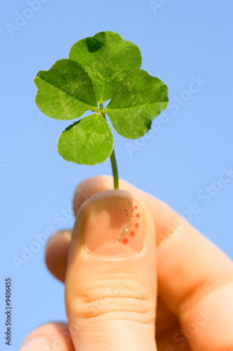 Female hand holding a four leaf clover against the blue sky