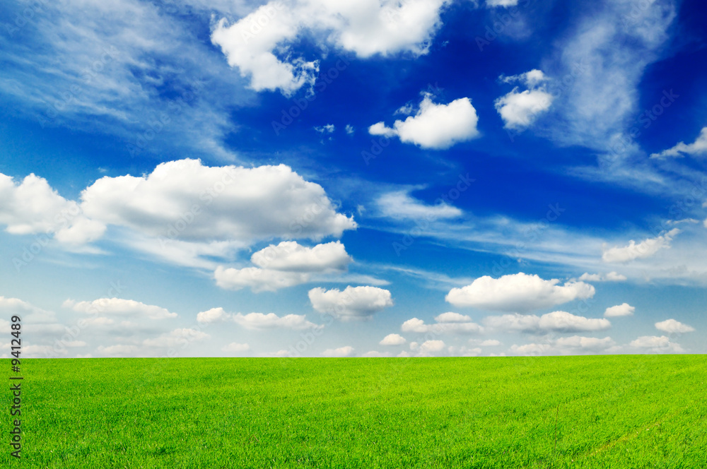 meadow and the beautiful blue sky covered by clouds