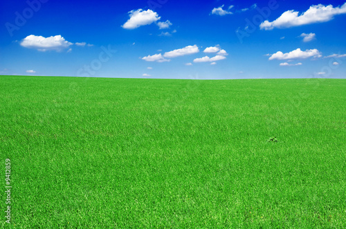 green field and the blue sky © Serghei V