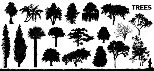 trees