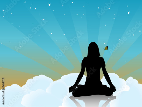 yogi
