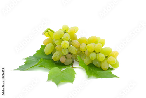 Grape bunch with leaves on a white background