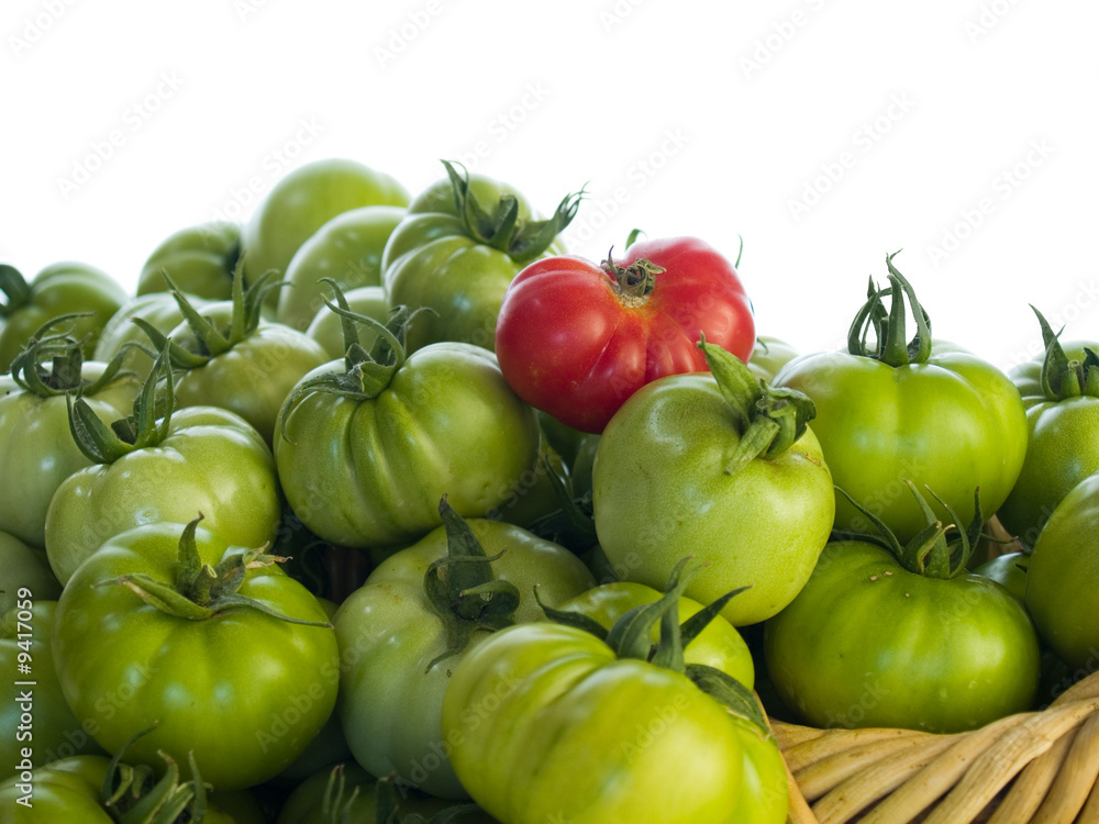 Green tomatoes and with one red in a basket Green tomatoes and with one red in a basket