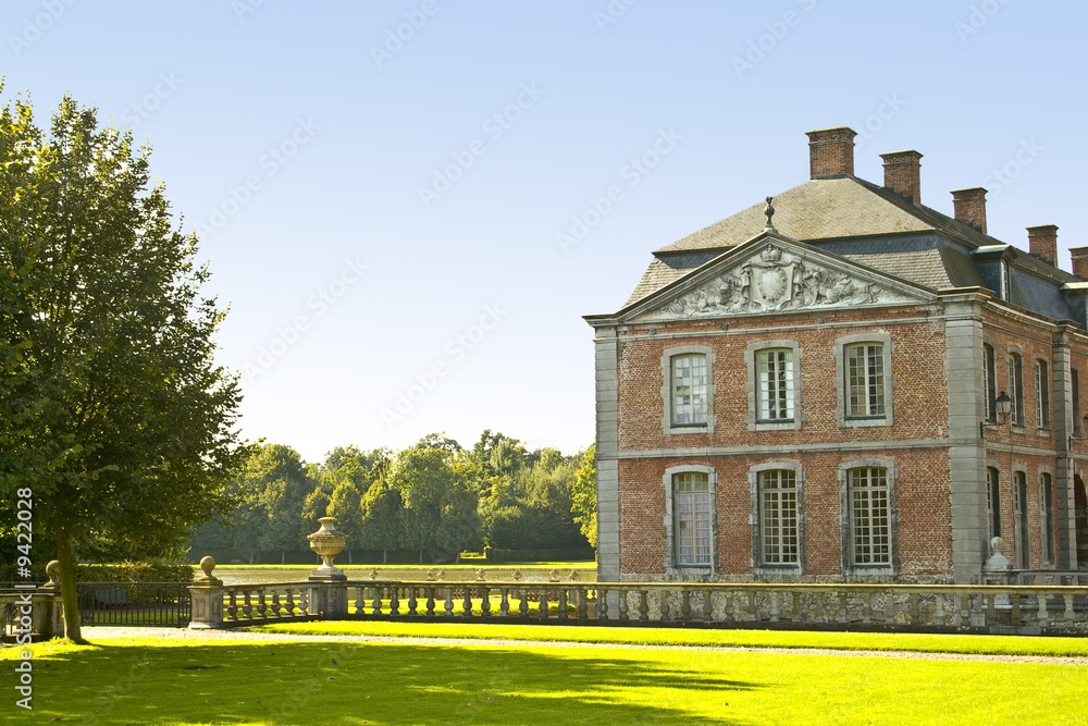 Fototapeta premium Chateau près de l'herbe