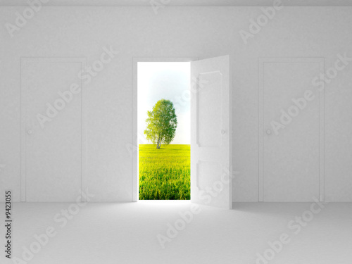 Landscape behind the open d...