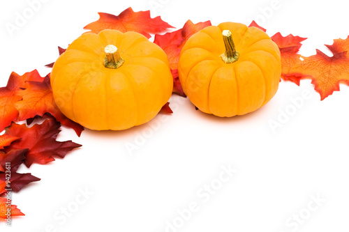 Fall leaves with orange gourd on white background