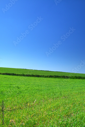 summer country view with cloudless sky