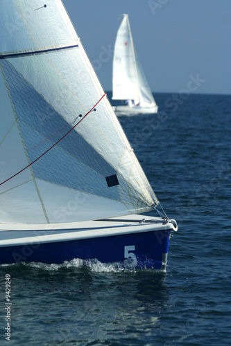 Sailing sport / regatta / The winner and losed