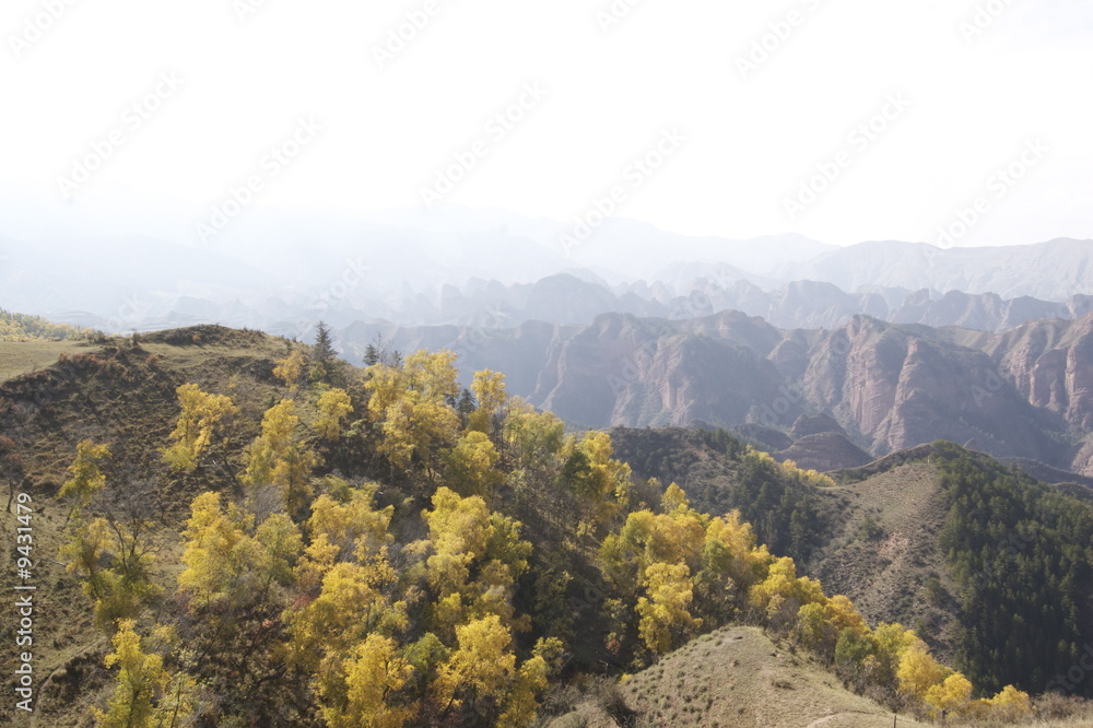 landscape landscape
