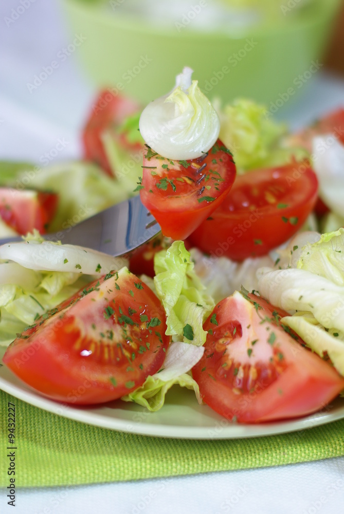vegetable salad with tomatoes vegetable salad with tomatoes