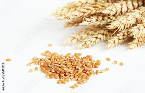 Wheat and grain