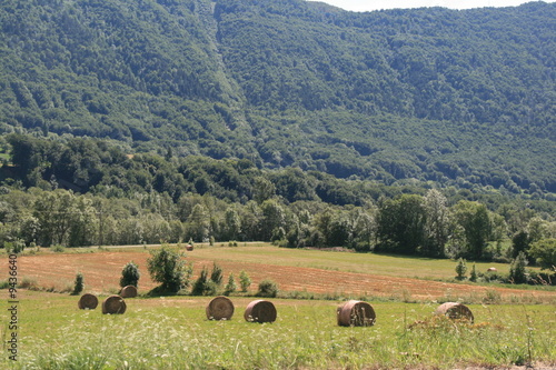 Fototapeta meules de foin en montagne