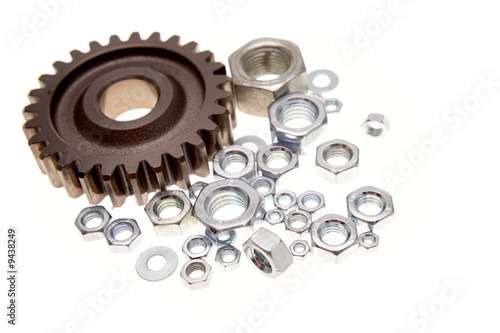 Gear and nuts on white