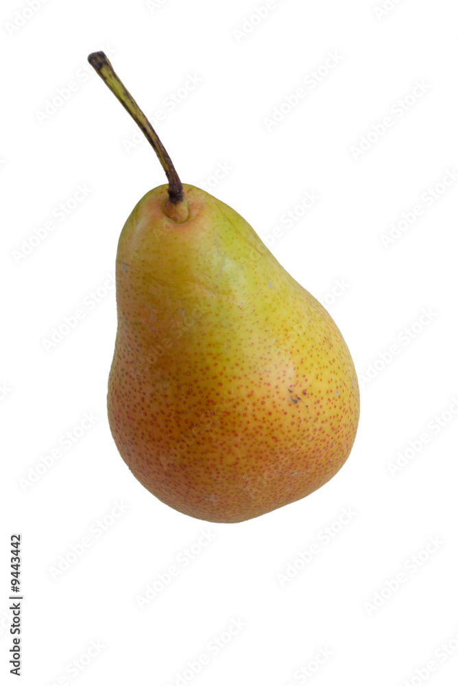 forelle breed pear isolated on white forelle breed pear isolated on white