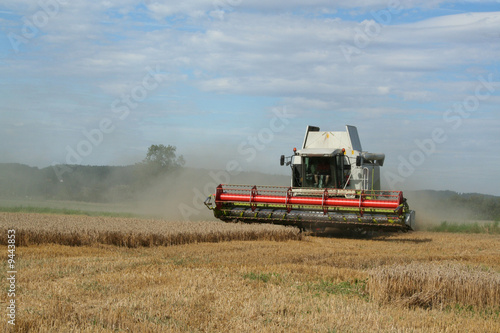 harvester on a wheat field