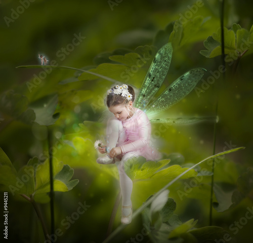 Tela Little fairy