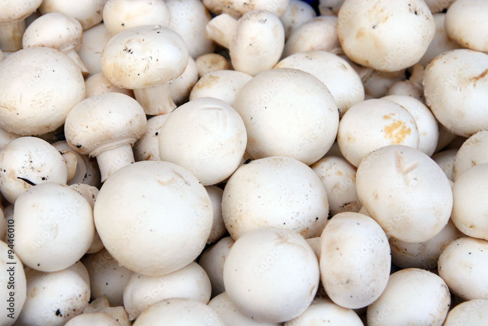 Fresh mushrooms champignon. Well for a background