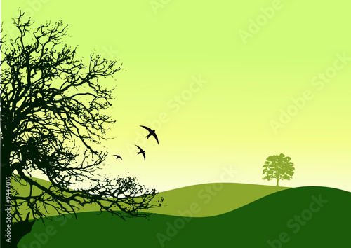 campagne