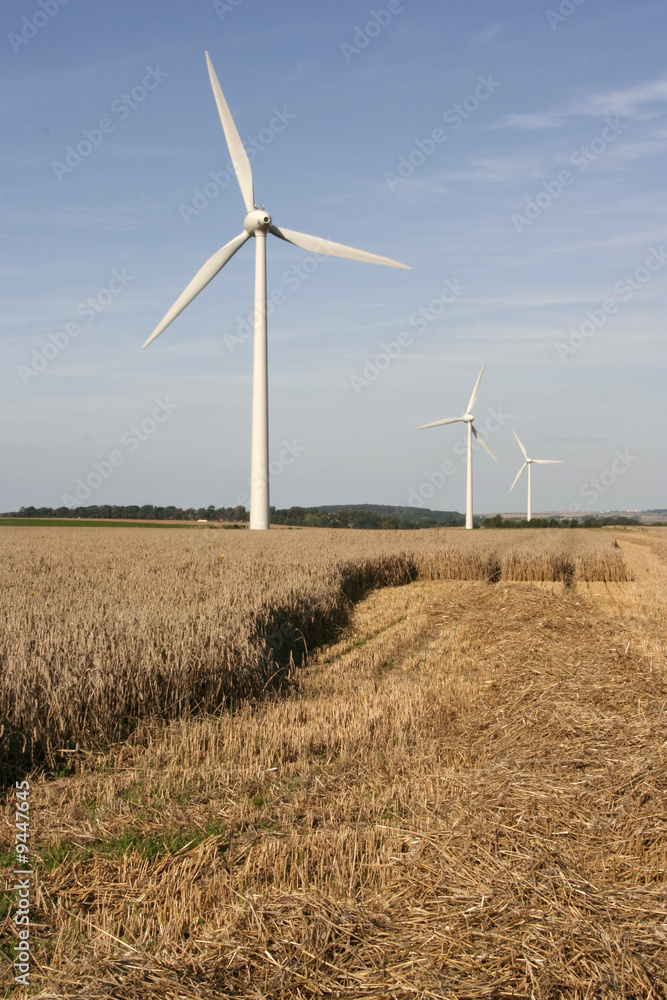 eoliennes champs eoliennes champs