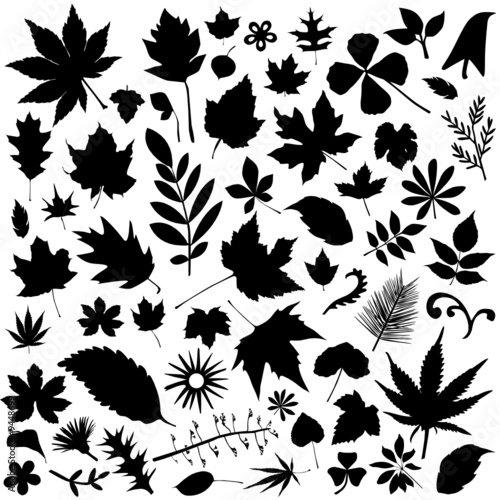 set of leaf vector