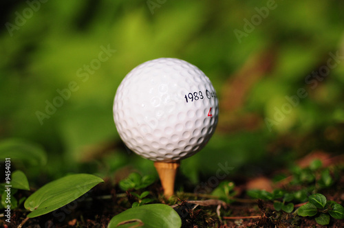 Golf ball