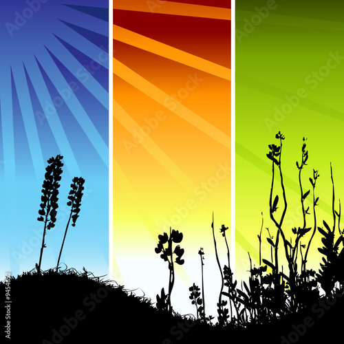 Grass silhouette on meadow