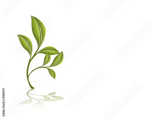 svg vecteur série - environnement branche avec feuilles