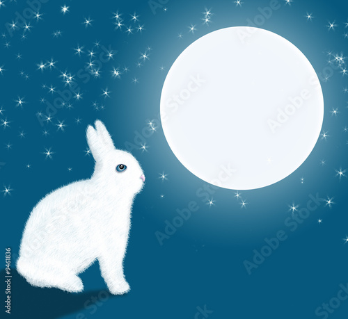 Lapins blanc sous la lune photo