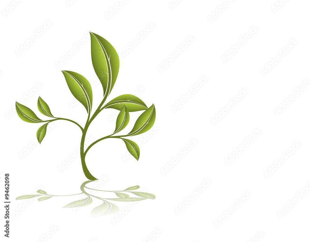 vector serie - yound plant isolated on white background