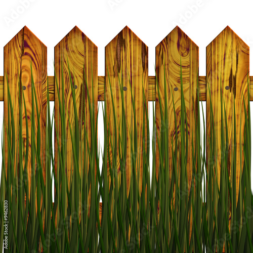 fence in herb