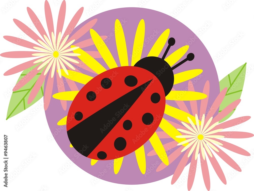 ladybird ladybird